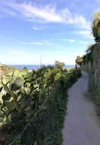 Il Beodo di Bordighera: Un Patrimonio di Storia e Natura