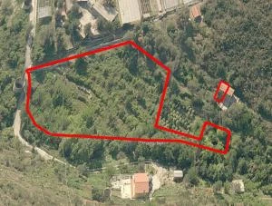 OSPEDALETTI - 8436 mq di terreni agricoli - VENDITA