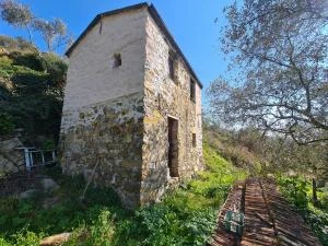 IMPERIA - Costa D'Oneglia - Rustico con Terreno - VENDUTO IN COLLABORAZIONE