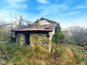 MARO CASTELLO - Terreno agricolo con rustico - VENDITA